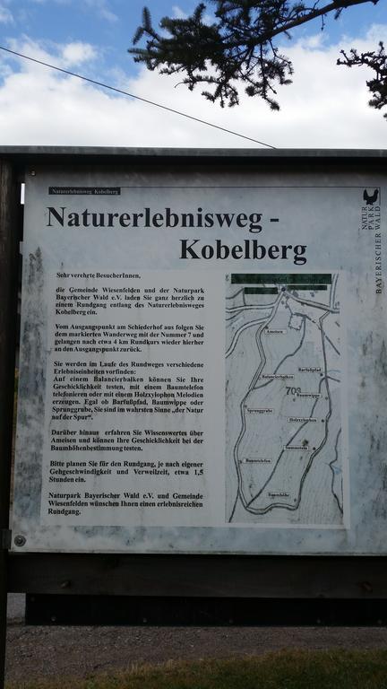 Waldgasthof - Hotel Schiederhof Wiesenfelden Exteriér fotografie